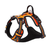 No Pull Harness Orange XS thumbnail