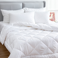 Microfiber/Bamboo Blend, Hypoallergenic & Antibacterial Quilt - Queen thumbnail
