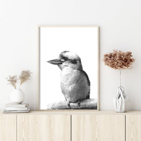 Wall Art 60cmx90cm Kookaburra Black Frame Canvas thumbnail