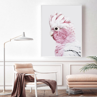 Wall Art 70cmx100cm Pink Galah White Frame Canvas thumbnail