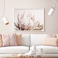 Wall Art 50cmx70cm Pure Protea II White Frame Canvas thumbnail
