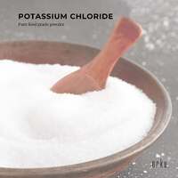1.3Kg Potassium Chloride Powder Tub - Pure KCL E508 Food Grade Supplement thumbnail
