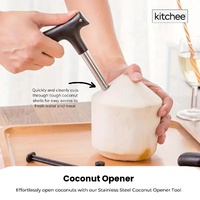 5x Kitchee Coconut Opener - Stainless Steel Hole Punch Kitchen Tool thumbnail