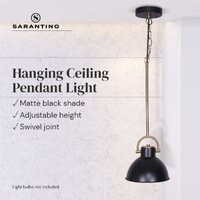 Sarantino Black and Gold Pendant Light thumbnail