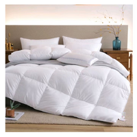 HOTEL QUILT DOONA - 400 GSM, QUEEN SIZE thumbnail