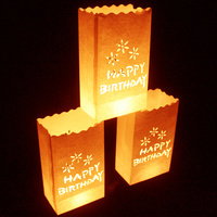 20 Pack White Happy Birthday Luminary Paper Candle Tea Light Lantern Bags Garden Anniversary Birthday Night Decorations Evening Party thumbnail