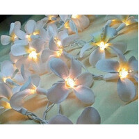 1 Set of 20 LED White Frangipani Flower Battery String Lights Christmas Gift Home Wedding Beach Party Decoration Outdoor Table Centrepiece thumbnail