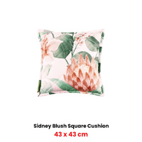 Bianca Sidney Blush Coordinate Square Filled Cushion 43 x 43cm thumbnail