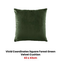 Bianca Vivid Coordinates Square Forest Green Velvet Cushion thumbnail