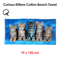 Curious Kittens Cotton Beach Towel thumbnail