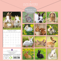 Cute Bunnies - 2025 Square Wall Calendar Pets Animals 16 Months Premium Planner thumbnail