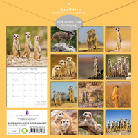 Meerkats - 2025 Square Wall Calendar Pets Animals 16 Months Premium Planner Gift thumbnail