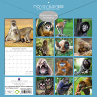 Monkey Business 2025 Square Wall Calendar Animals 16 Months Premium Planner Gift thumbnail