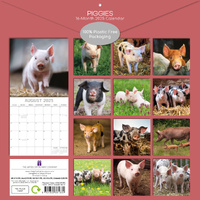 Piggies - 2025 Square Wall Calendar Pets Animals 16 Months Premium Planner Gift thumbnail