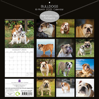 Bulldogs - 2025 Square Wall Calendar Dogs Pets Animals 16 Months Premium Planner thumbnail