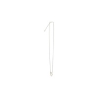 Alexander McQueen Men's Skull Necklace - One Size thumbnail