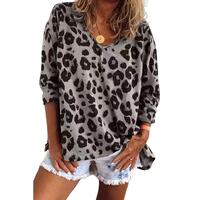 Azura Exchange Leopard Print V Neck Long Sleeve Top - M thumbnail