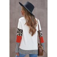 Azura Exchange Leopard Colorblock Long Sleeve Top - S thumbnail