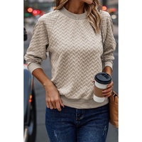 Beige Solid Textured Raglan Sleeve Pullover Sweatshirt - XL thumbnail