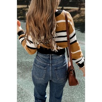Brown Stripe Contrast Stripes V Neck Textured Knit Sweater - L thumbnail