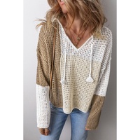 Brown Colorblock Hollow-out Front Tie V Neck Lightweight Sweater - L thumbnail