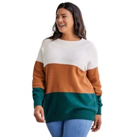 Brown Plus Size Ribbed Trim Color Block Sweater - 1X thumbnail