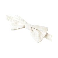 Dolce & Gabbana Men's Ivory Fantasy Pattern Adjustable Neck Papillon Bow Tie - One Size thumbnail