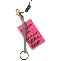 Dolce & Gabbana Women's Pink Silicone DG Logo Gold Brass Keyring  Keychain - One Size thumbnail