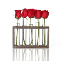 Minimalist Hydroponic Glass Vase with Wooden Frame for Coffee Shop Decor thumbnail