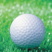 Double Layer Elastic Golf Balls for Driving Range - Synthetic Rubber thumbnail