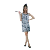 Charleston Sequin Flapper Fringe Costume Tassel Party Fancy Dress 20s 30s - Silver thumbnail