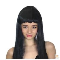 LONG WIG Straight Party Hair Costume Fringe Cosplay Fancy Dress 70cm Womens - Black (22450) thumbnail