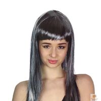 LONG WIG Straight Party Hair Costume Fringe Cosplay Fancy Dress 70cm Womens - Grey (22467) thumbnail