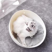 Cat Sphere Bed Nest thumbnail