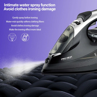 2200W Professional Steam Iron with Ceramic Soleplate thumbnail