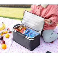 Insulated Picnic Basket with Aluminum Frame - Portable Collapsible Cooler Bag 18L 40*20*23cm(Yellow plaid) thumbnail