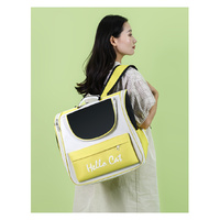 Yellow Transparent Pet Carrier Backpack for Cats and Small Dogs thumbnail