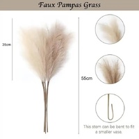 20 sticks Grass Green Pampas Grass Bouquet-21.65" Fluffy Dried Pampas for Home Decor and Events thumbnail