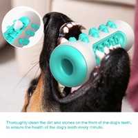 Blue Dog Squeaky Toys For Aggressive Chewers, Tough Toothbrush Dog Chew Toy, Nearly Indestructible Rubber Toys For Pet Training, Teeth Cleaning, Playi thumbnail