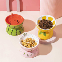 Ceramic Elevated Pet Food Bowl - Cute Pitaya Pattern Design for Cats and Small Dogs thumbnail