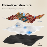 Non-Slip Diatomaceous Earth Bath Mat - Quick-Dry, Durable Toilet Rug 40x60cm thumbnail