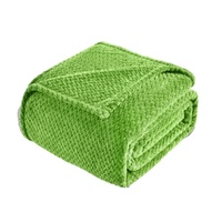 Green Soft Flannel Jacquard Throw Blanket - Cozy Sofa & Bed Cover, Air Conditioning Blanket, 50 x 60 Inches, Elegant Solid Color thumbnail
