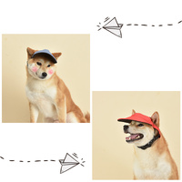 Size M Black Adjustable Pet Baseball Cap for Cats and Dogs - Cute Sun Protection Hat for Outdoor Adventures thumbnail