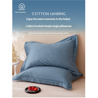 Blue Pure Cotton Flannel Pillowcase Set - Soft, Thickened, Solid Color (Pair, 48x74cm) thumbnail