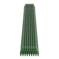 Green Fingers Garden Stakes Metal Plant Support 24pcs 92x1.1CM thumbnail