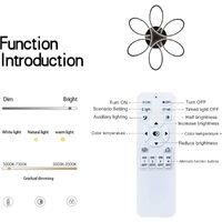 Modern LED Chandelier Flush Mount Lamp Remote Control (60cm) thumbnail