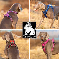 No Pull Harness Grey XL thumbnail