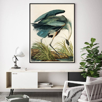Wall Art 50cmx70cm Great Blue Heron By John James Audubon Black Frame Canvas thumbnail