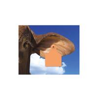 100x Cattle Ear Tags 7x10cm Set - Large Orange Blank Cow Sheep Livestock Label thumbnail