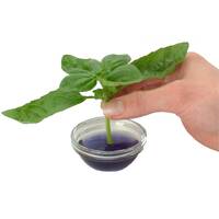 50ml Clonex Rooting Hormone Purple Gel Propagation Clone Plant Growth Technology thumbnail